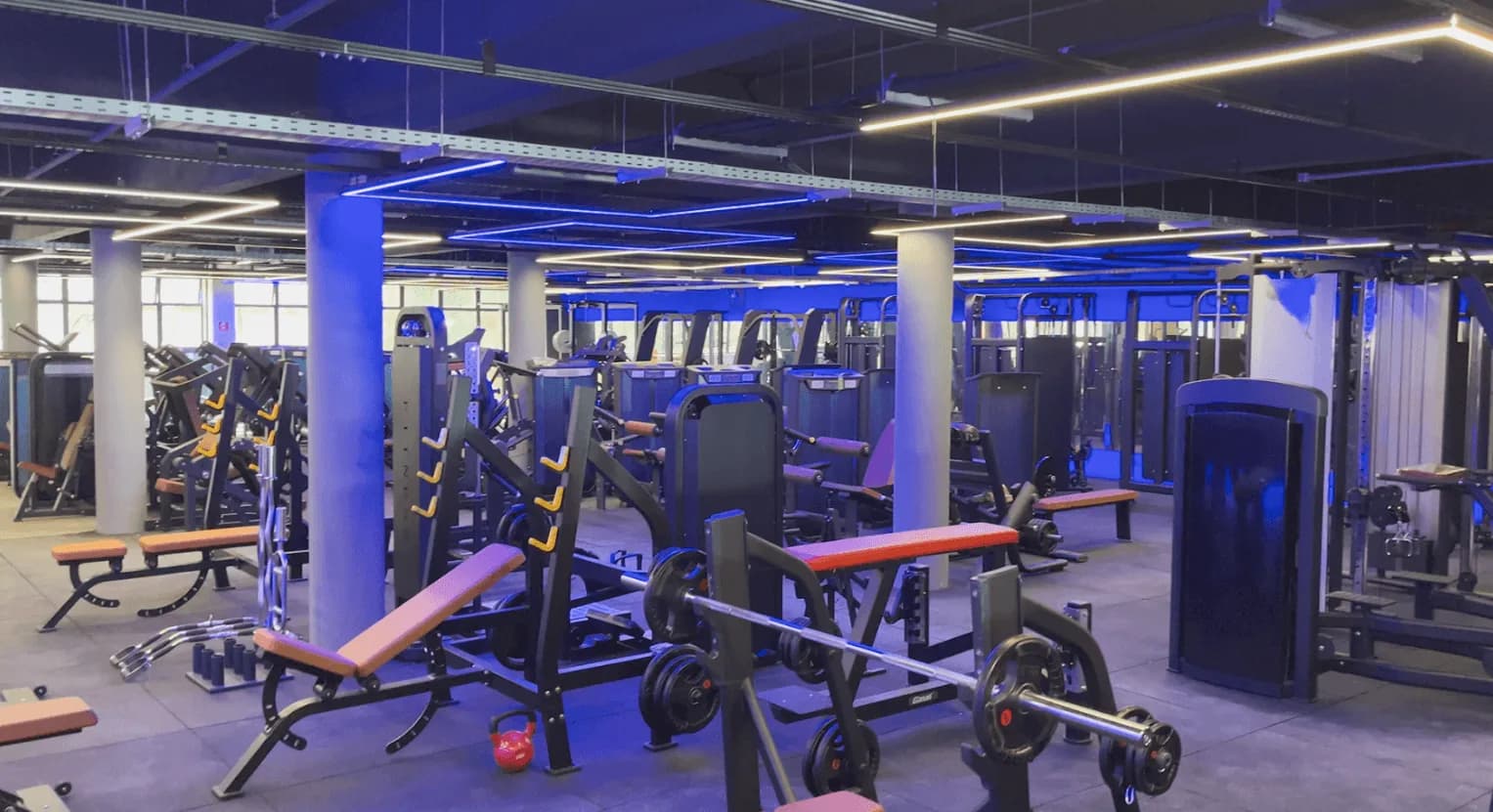 Musculação e ginástica